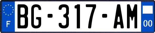 BG-317-AM