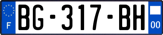 BG-317-BH