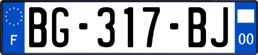 BG-317-BJ