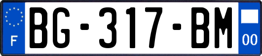 BG-317-BM