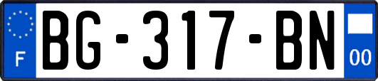 BG-317-BN
