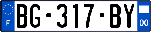 BG-317-BY