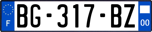 BG-317-BZ