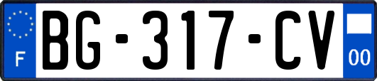 BG-317-CV