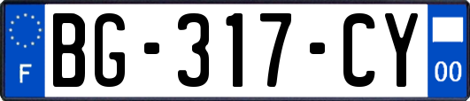 BG-317-CY