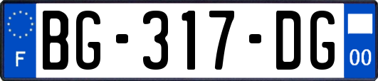 BG-317-DG