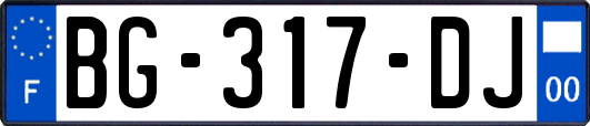 BG-317-DJ