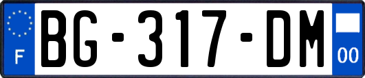 BG-317-DM
