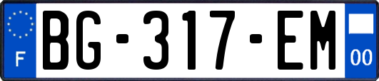 BG-317-EM