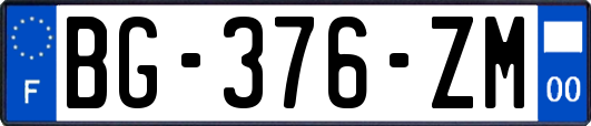 BG-376-ZM