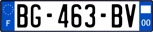 BG-463-BV