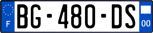 BG-480-DS