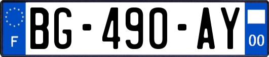 BG-490-AY