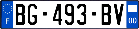 BG-493-BV