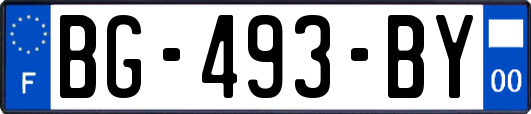 BG-493-BY