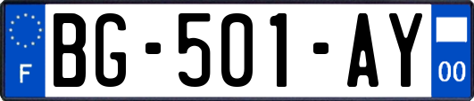 BG-501-AY