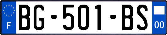 BG-501-BS