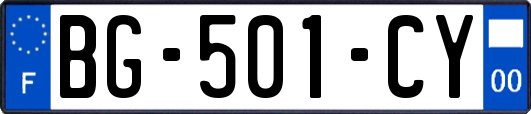 BG-501-CY