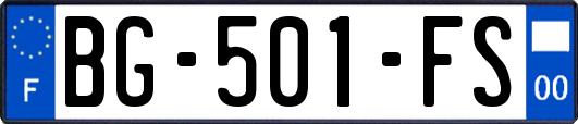 BG-501-FS