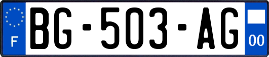 BG-503-AG
