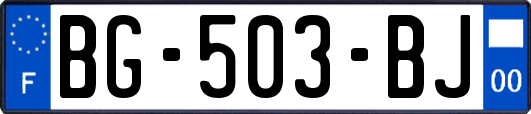 BG-503-BJ