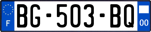 BG-503-BQ