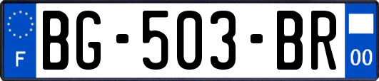 BG-503-BR