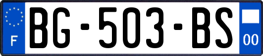 BG-503-BS