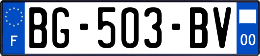 BG-503-BV