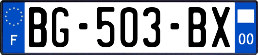 BG-503-BX