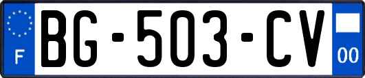 BG-503-CV