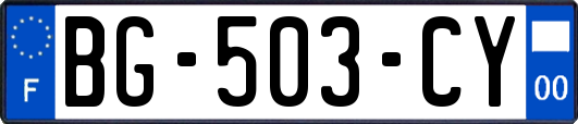 BG-503-CY