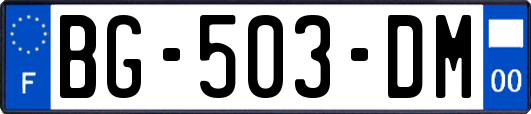 BG-503-DM