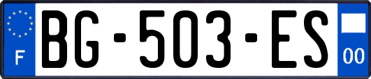 BG-503-ES