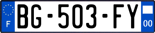 BG-503-FY