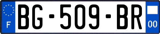 BG-509-BR