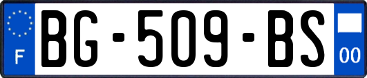 BG-509-BS