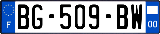 BG-509-BW