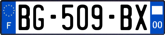 BG-509-BX