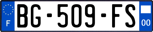 BG-509-FS