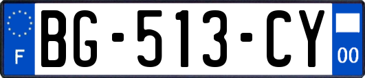 BG-513-CY