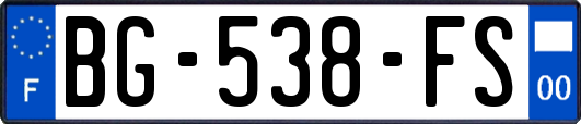 BG-538-FS