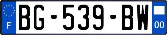 BG-539-BW