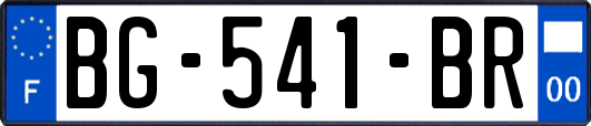 BG-541-BR