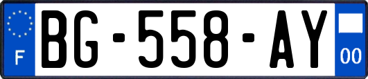 BG-558-AY