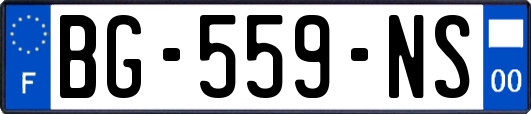 BG-559-NS