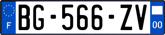 BG-566-ZV