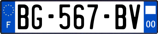 BG-567-BV