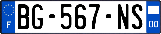 BG-567-NS