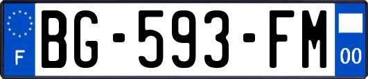 BG-593-FM